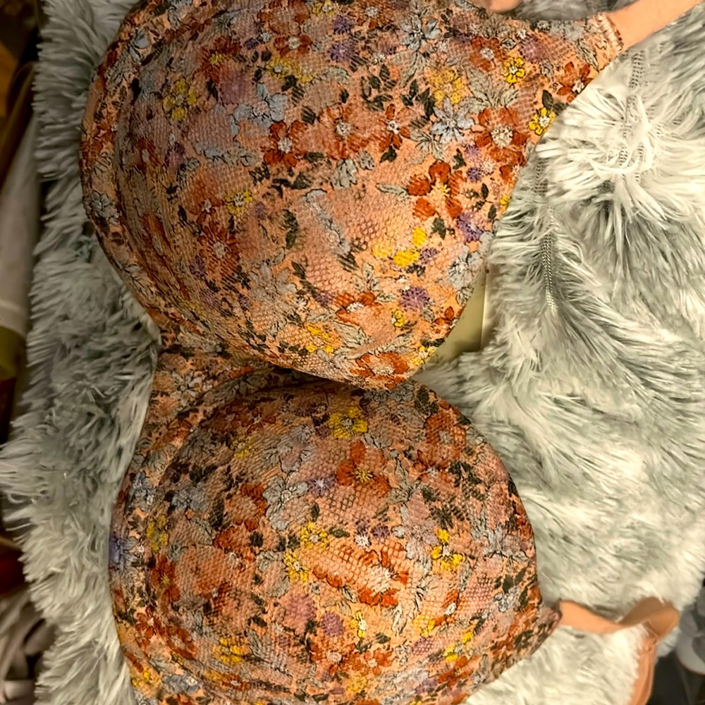 lady's bra